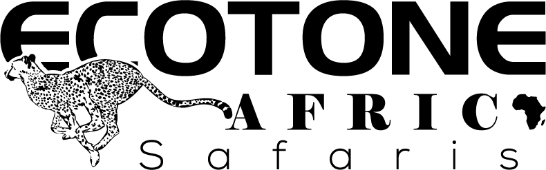 Ecotone