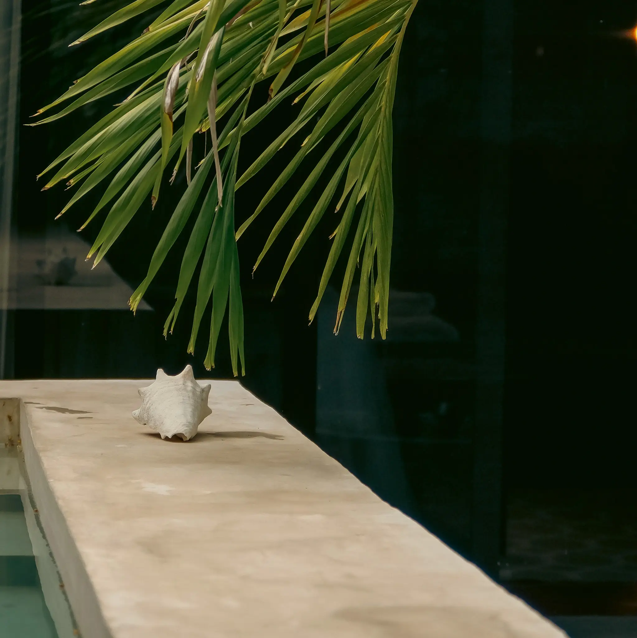 W Moments Reiseagentur
